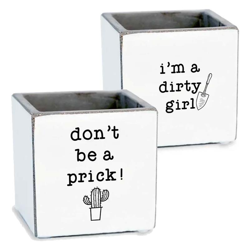 Punny Succulent Pots