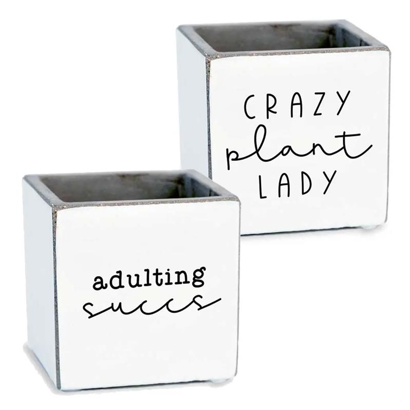 Punny Succulent Pots