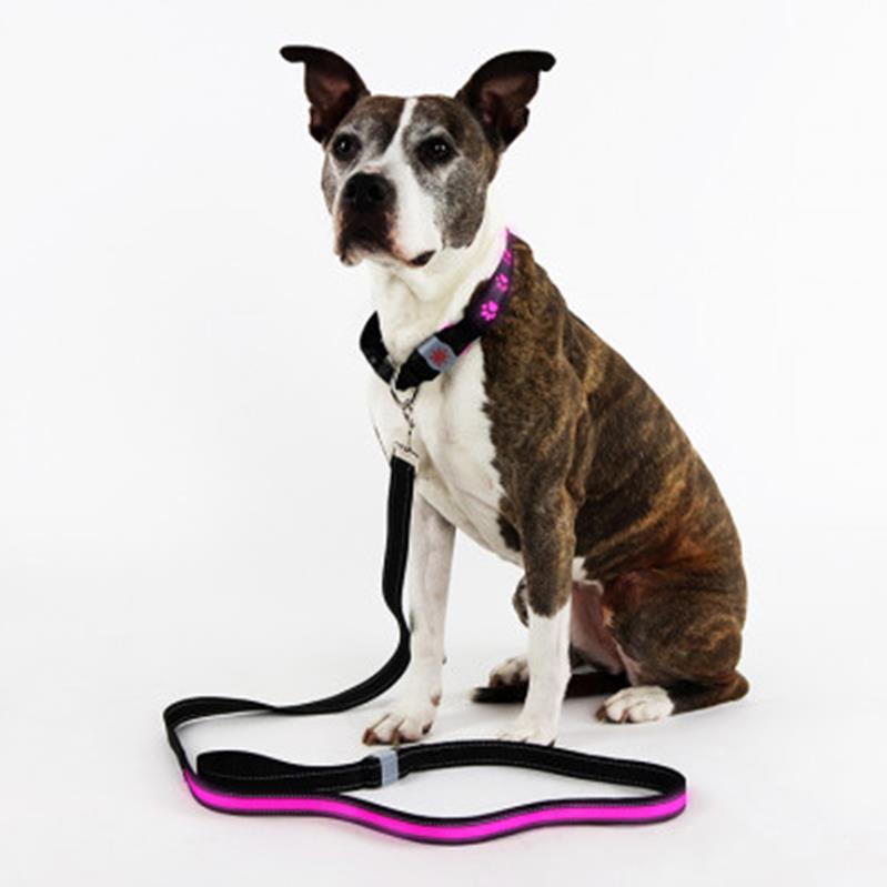 Night Scope Rechargeable LED Dog Collar