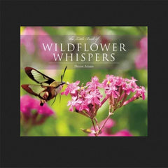 The Little Book of Wildflower Whispers by Denise Adams