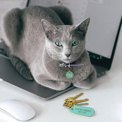 Fred Enameled Self-expression Keychain/Pet Tag Set