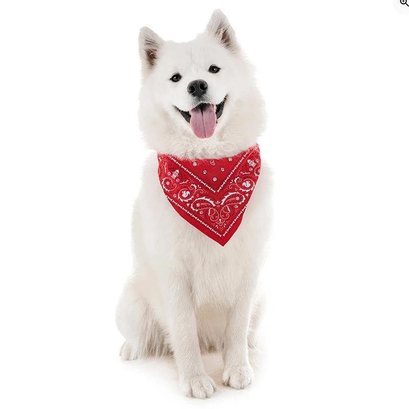 Fred REFLECTIVE DOG BANDANA Red Coconut Creek Gift Shop