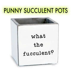 Punny Succulent Pots
