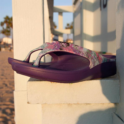 Alegria Ode Itchycoo Grey Sandal